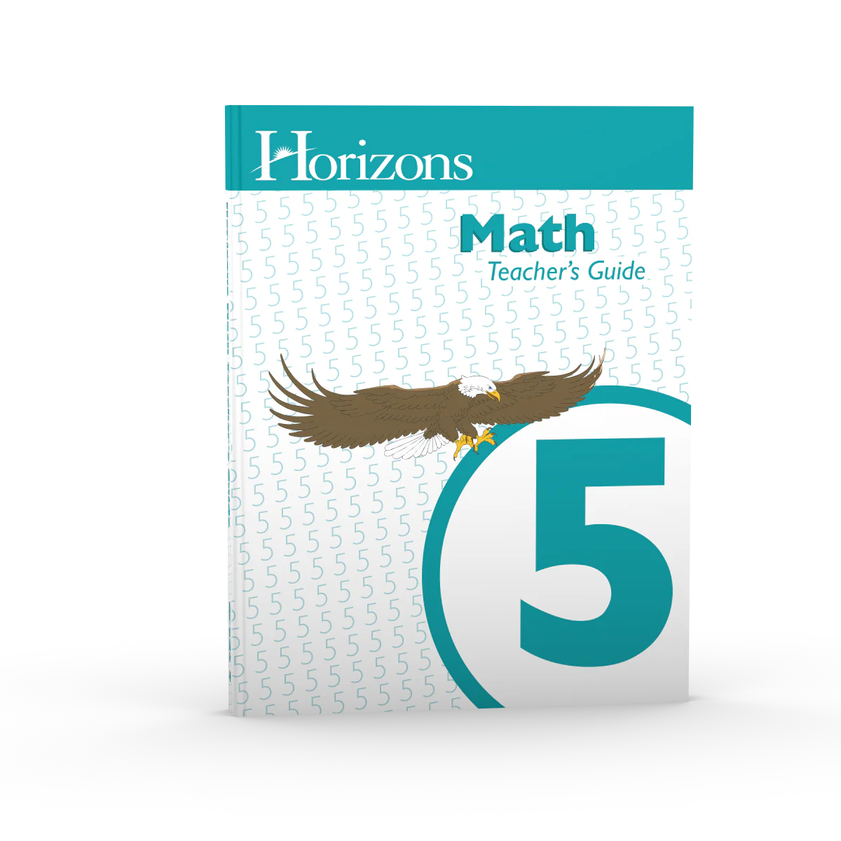Math Teacher's Guide
